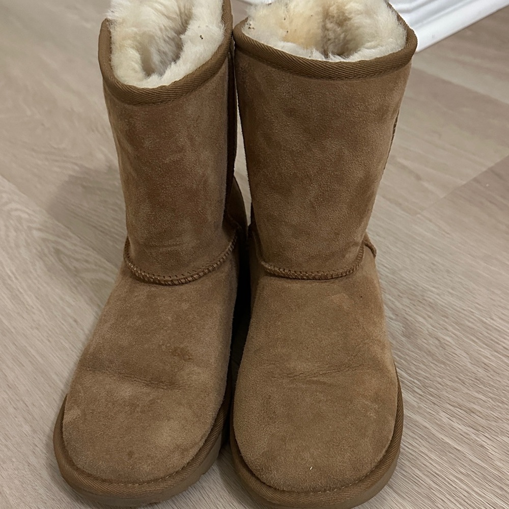 UGG Cozy Tan with Shearling Lining